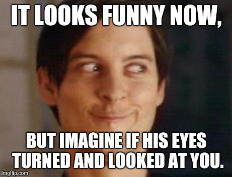 Spiderman Peter Parker Meme | IT LOOKS FUNNY NOW, BUT IMAGINE IF HIS EYES TURNED AND LOOKED AT YOU. | image tagged in memes,spiderman peter parker | made w/ Imgflip meme maker