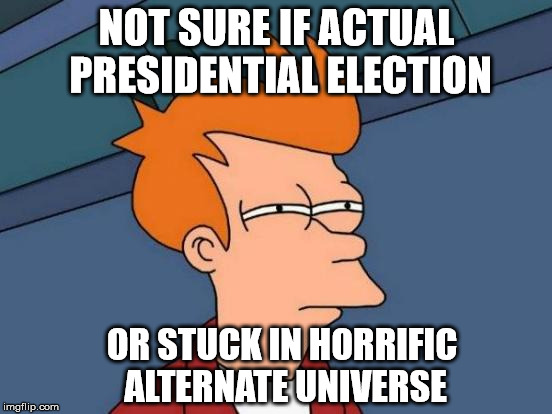 Futurama Fry | NOT SURE IF ACTUAL PRESIDENTIAL ELECTION; OR STUCK IN HORRIFIC ALTERNATE UNIVERSE | image tagged in memes,futurama fry | made w/ Imgflip meme maker