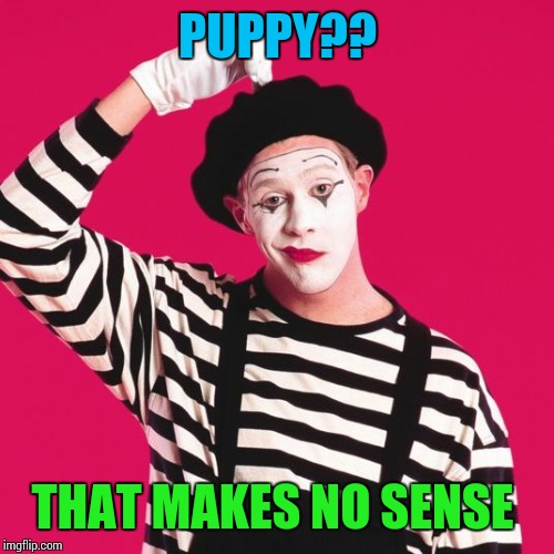confused mime | PUPPY?? THAT MAKES NO SENSE | image tagged in confused mime | made w/ Imgflip meme maker