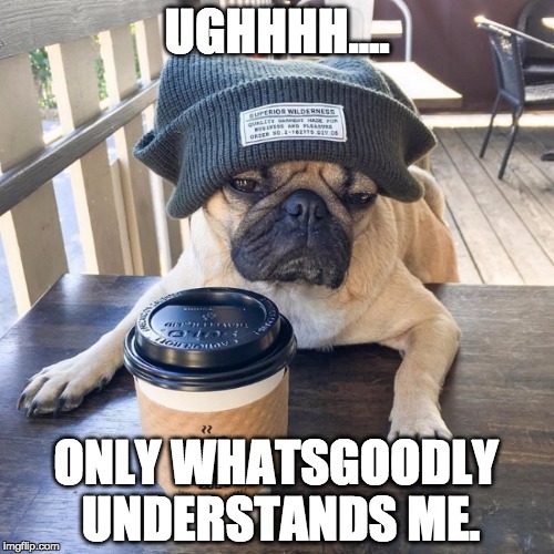 Pugs have Feelings Too | UGHHHH.... ONLY WHATSGOODLY UNDERSTANDS ME. | image tagged in too funny,introspective pug,funny meme,dogs,hipster | made w/ Imgflip meme maker