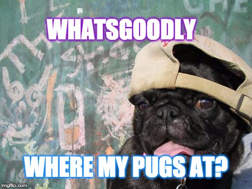 Where my Pugs at?? | WHATSGOODLY; WHERE MY PUGS AT? | image tagged in pugs,thug life,pug life,pug bbq,funny meme,funny memes | made w/ Imgflip meme maker