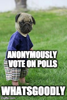 Child Pug on Decc | ANONYMOUSLY VOTE ON POLLS; WHATSGOODLY | image tagged in funny meme,funny dogs,funny animals,social media,polling,pugs | made w/ Imgflip meme maker