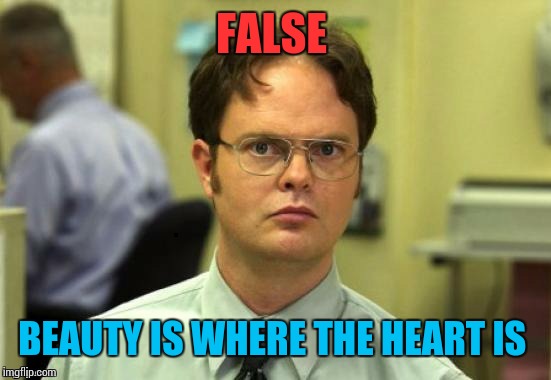 dwight | FALSE BEAUTY IS WHERE THE HEART IS | image tagged in dwight | made w/ Imgflip meme maker