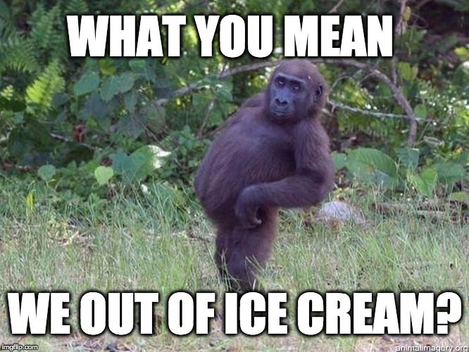 The End of the World: Ice Cream Apocalypse | WHAT YOU MEAN; WE OUT OF ICE CREAM? | image tagged in monkey business,funny,funny memes,funny meme,ice cream | made w/ Imgflip meme maker