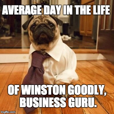 Pug Business First, Pug Partying Later | AVERAGE DAY IN THE LIFE; OF WINSTON GOODLY, BUSINESS GURU. | image tagged in pug,pugs,dogs,funny dogs,funny meme | made w/ Imgflip meme maker