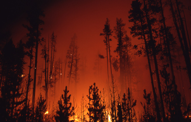 Forest fire Blank Meme Template