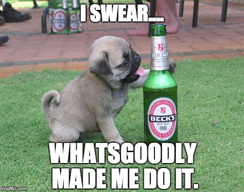 Whatsgoodly, Pugs, and Beer are Friends | I SWEAR.... WHATSGOODLY MADE ME DO IT. | image tagged in beer,pugs,funny,funny memes,funny meme,funny animals | made w/ Imgflip meme maker