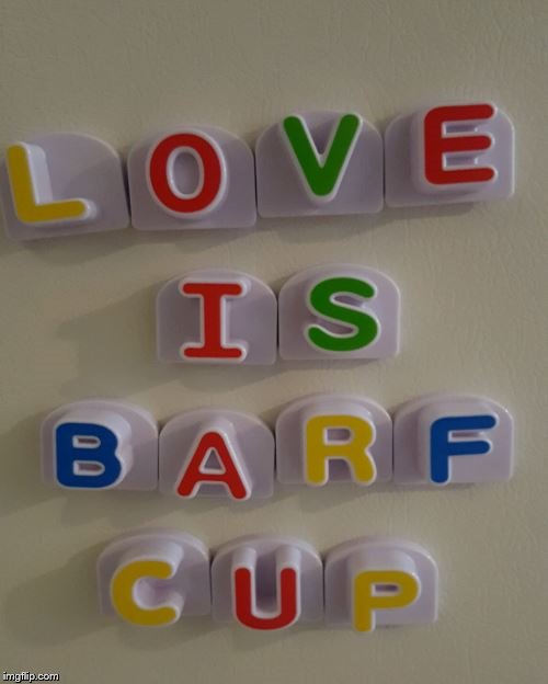 My daughter was playing with fridge magnets and discovered one of life's greatest truths. | image tagged in love,barf,cup,truth,jesus | made w/ Imgflip meme maker