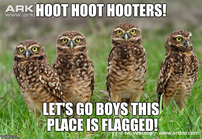 HOOT HOOT HOOTERS! LET'S GO BOYS THIS PLACE IS FLAGGED! | made w/ Imgflip meme maker