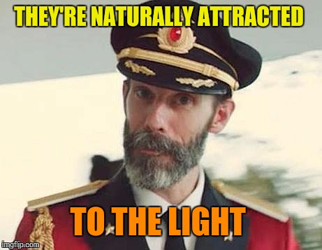 Captain Obvious | THEY'RE NATURALLY ATTRACTED TO THE LIGHT | image tagged in captain obvious | made w/ Imgflip meme maker