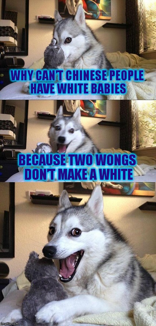 Bad Pun Dog Meme | WHY CAN’T CHINESE PEOPLE HAVE WHITE BABIES; BECAUSE TWO WONGS DON’T MAKE A WHITE | image tagged in memes,bad pun dog | made w/ Imgflip meme maker