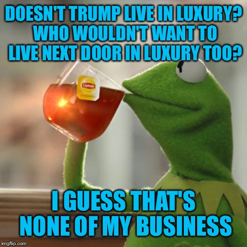 But That's None Of My Business Meme | DOESN'T TRUMP LIVE IN LUXURY? WHO WOULDN'T WANT TO LIVE NEXT DOOR IN LUXURY TOO? I GUESS THAT'S NONE OF MY BUSINESS | image tagged in memes,but thats none of my business,kermit the frog | made w/ Imgflip meme maker