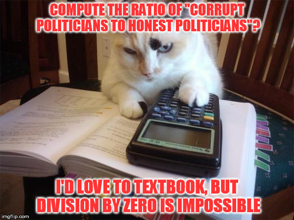 I wonder if this is how mathematicians discovered the concept...  | COMPUTE THE RATIO OF "CORRUPT POLITICIANS TO HONEST POLITICIANS"? I'D LOVE TO TEXTBOOK, BUT DIVISION BY ZERO IS IMPOSSIBLE | image tagged in math cat | made w/ Imgflip meme maker