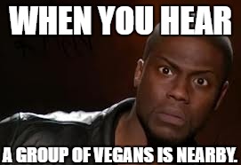 Listen to their mating call: "I'm vegan." "Meat is murder." | WHEN YOU HEAR; A GROUP OF VEGANS IS NEARBY. | image tagged in memes,kevin hart the hell,template quest,funny,vegans | made w/ Imgflip meme maker