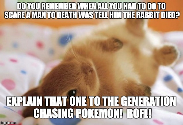 Rabbit died | DO YOU REMEMBER WHEN ALL YOU HAD TO DO TO SCARE A MAN TO DEATH WAS TELL HIM THE RABBIT DIED? EXPLAIN THAT ONE TO THE GENERATION CHASING POKEMON!  ROFL! | image tagged in rabbit,pregnancy | made w/ Imgflip meme maker