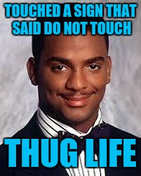 Thug Life | TOUCHED A SIGN THAT SAID DO NOT TOUCH; THUG LIFE | image tagged in thug life | made w/ Imgflip meme maker