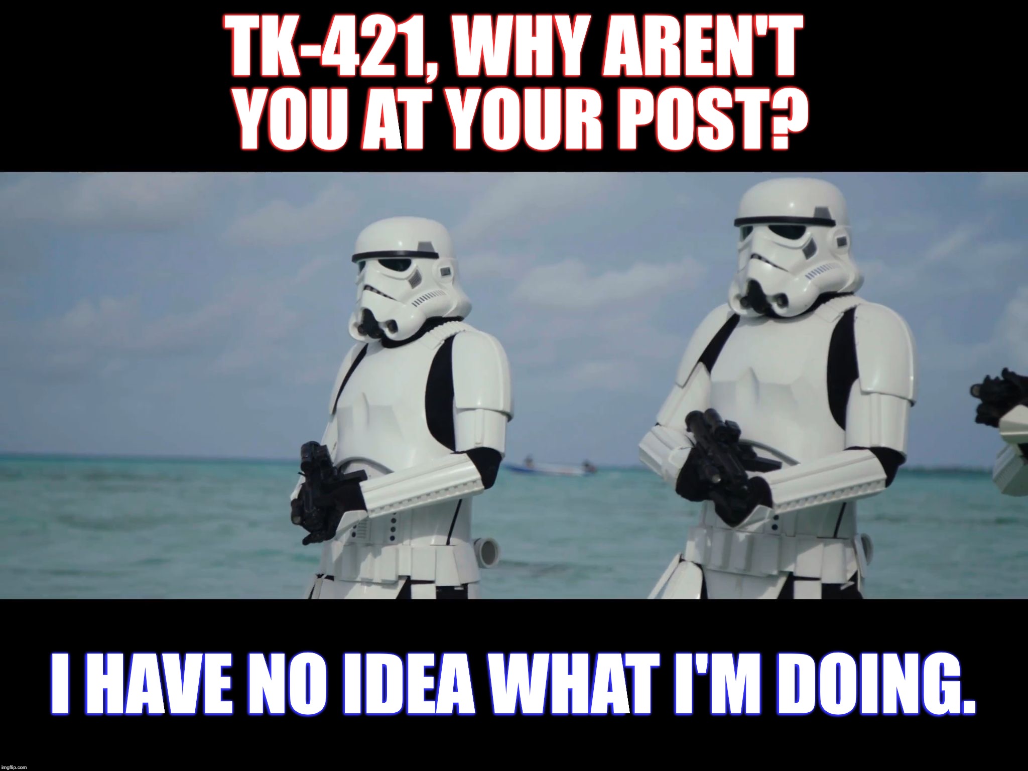 I have no idea what I'm doing. | TK-421, WHY AREN'T YOU AT YOUR POST? I HAVE NO IDEA WHAT I'M DOING. | image tagged in star wars,stormtrooper | made w/ Imgflip meme maker