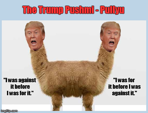 The Trump Pushmi-Pullyu | image tagged in donald trump,trump,trump pushmi-pullyu,pushmi-pullyu,memes,funny | made w/ Imgflip meme maker