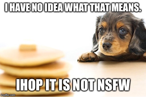 I HAVE NO IDEA WHAT THAT MEANS. IHOP IT IS NOT NSFW | made w/ Imgflip meme maker