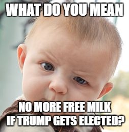 Skeptical Baby Meme | WHAT DO YOU MEAN; NO MORE FREE MILK IF TRUMP GETS ELECTED? | image tagged in memes,skeptical baby | made w/ Imgflip meme maker