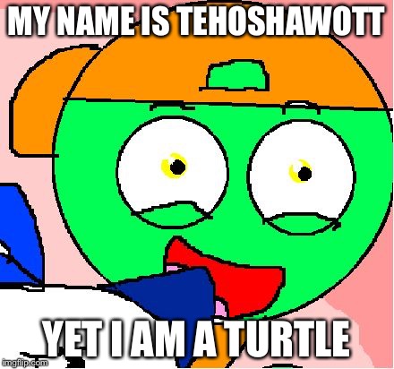 MY NAME IS TEHOSHAWOTT; YET I AM A TURTLE | image tagged in tehoshawott | made w/ Imgflip meme maker
