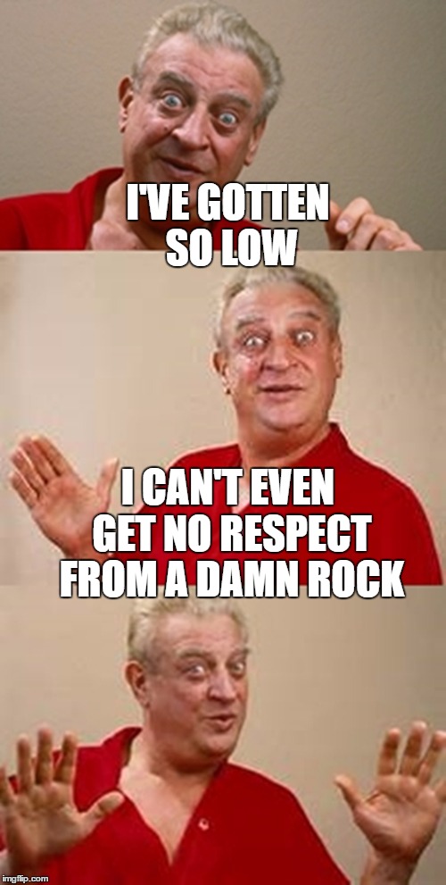 I'VE GOTTEN SO LOW I CAN'T EVEN GET NO RESPECT FROM A DAMN ROCK | made w/ Imgflip meme maker