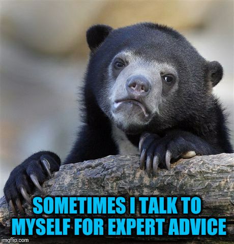 Confession Bear Meme |  SOMETIMES I TALK TO MYSELF FOR EXPERT ADVICE | image tagged in memes,confession bear | made w/ Imgflip meme maker