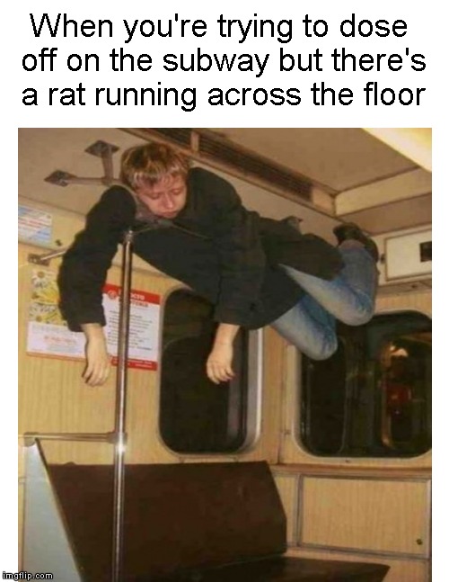 When you're trying to doze.... | When you're trying to dose off on the subway but there's a rat running across the floor | image tagged in funny memes,subway,rat,sleep,sleepy | made w/ Imgflip meme maker