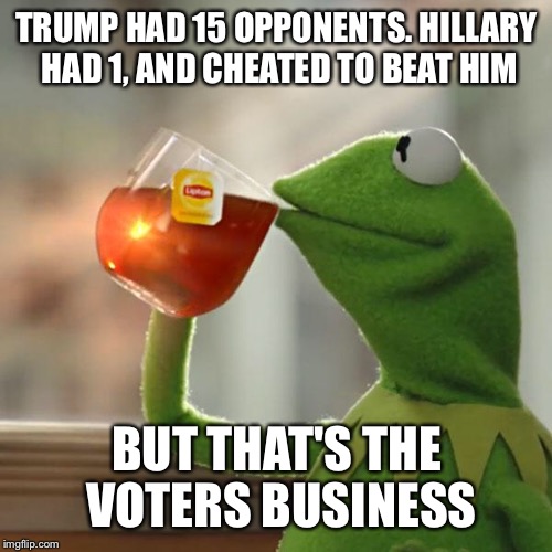 But That's None Of My Business Meme | TRUMP HAD 15 OPPONENTS. HILLARY HAD 1, AND CHEATED TO BEAT HIM BUT THAT'S THE VOTERS BUSINESS | image tagged in memes,but thats none of my business,kermit the frog | made w/ Imgflip meme maker