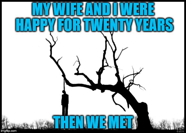 MY WIFE AND I WERE HAPPY FOR TWENTY YEARS; THEN WE MET | image tagged in hanging | made w/ Imgflip meme maker