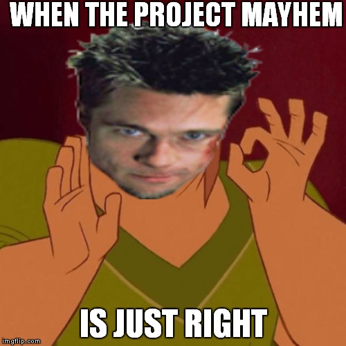 when the  | WHEN THE PROJECT MAYHEM; IS JUST RIGHT | image tagged in fight club | made w/ Imgflip meme maker