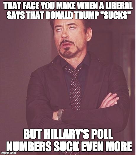 Face You Make Robert Downey Jr | THAT FACE YOU MAKE WHEN A LIBERAL SAYS THAT DONALD TRUMP "SUCKS"; BUT HILLARY'S POLL NUMBERS SUCK EVEN MORE | image tagged in memes,face you make robert downey jr | made w/ Imgflip meme maker