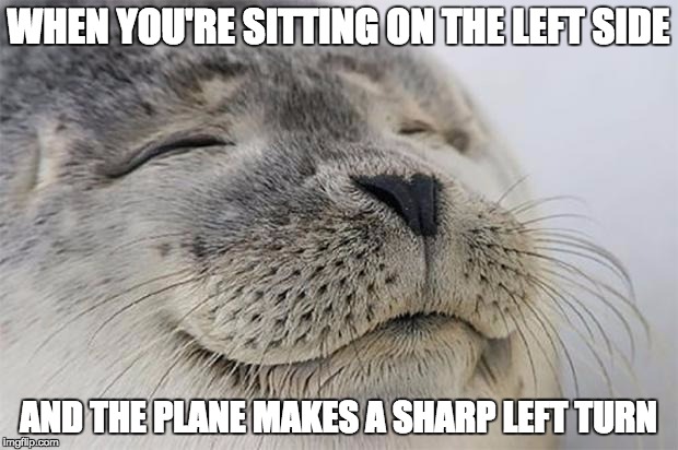 Satisfied Seal Meme | WHEN YOU'RE SITTING ON THE LEFT SIDE; AND THE PLANE MAKES A SHARP LEFT TURN | image tagged in memes,satisfied seal,AdviceAnimals | made w/ Imgflip meme maker