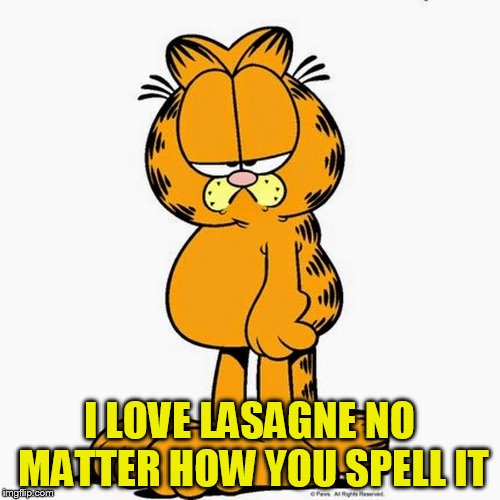 I LOVE LASAGNE NO MATTER HOW YOU SPELL IT | made w/ Imgflip meme maker