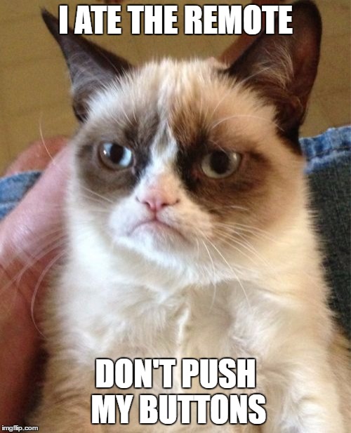 Grumpy Cat | I ATE THE REMOTE; DON'T PUSH MY BUTTONS | image tagged in memes,grumpy cat | made w/ Imgflip meme maker