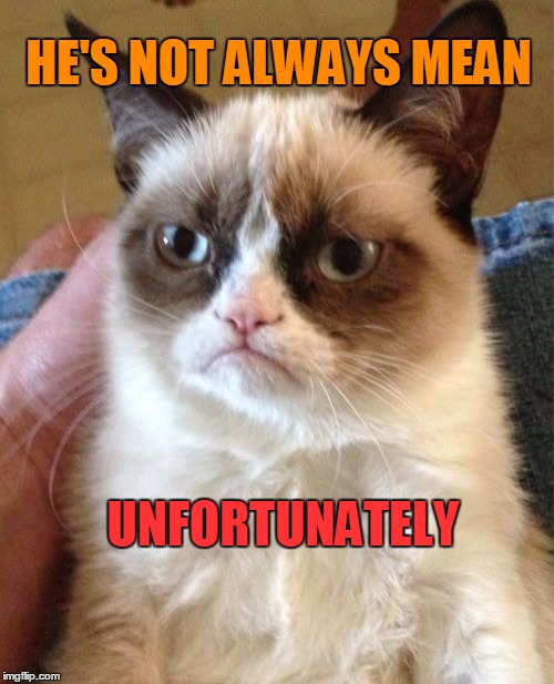 Grumpy Cat Meme | HE'S NOT ALWAYS MEAN UNFORTUNATELY | image tagged in memes,grumpy cat | made w/ Imgflip meme maker