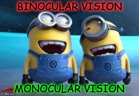 minions | BINOCULAR VISION; MONOCULAR VISION | image tagged in minions | made w/ Imgflip meme maker