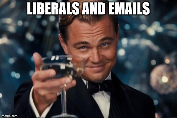 Here's to Liberals and Emails | LIBERALS AND EMAILS | image tagged in memes,leonardo dicaprio cheers,liberals,hillary emails,dnc e-mails | made w/ Imgflip meme maker
