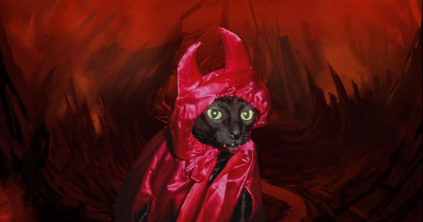 Devil cat Blank Meme Template