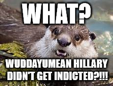 Surprised Otter | WHAT? WUDDAYUMEAN HILLARY DIDN'T GET INDICTED?!!! | image tagged in surprised otter | made w/ Imgflip meme maker