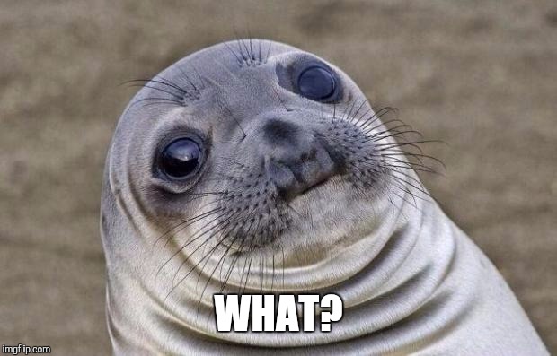 Awkward Moment Sealion Meme | WHAT? | image tagged in memes,awkward moment sealion | made w/ Imgflip meme maker