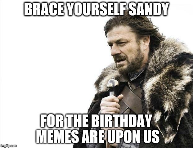Brace Yourselves X is Coming Meme | BRACE YOURSELF SANDY; FOR THE BIRTHDAY MEMES ARE UPON US | image tagged in memes,brace yourselves x is coming | made w/ Imgflip meme maker