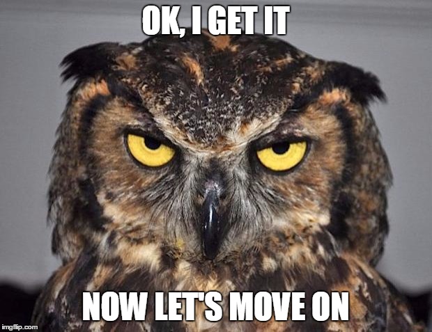 angry owl | OK, I GET IT; NOW LET'S MOVE ON | image tagged in angry owl | made w/ Imgflip meme maker