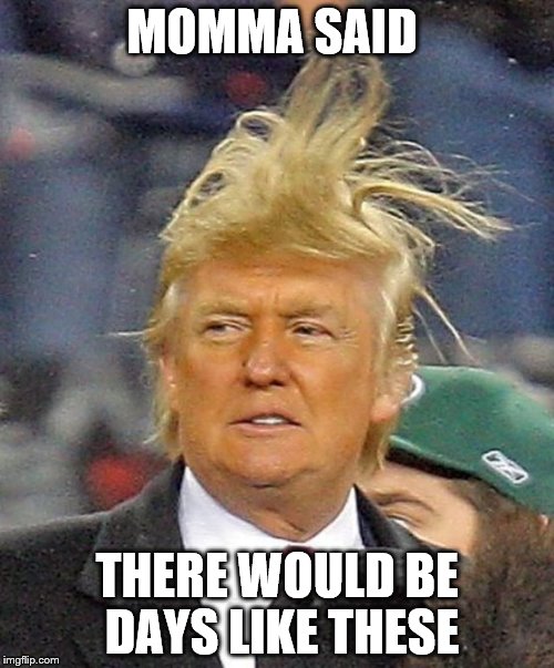 Donald Trumph hair | MOMMA SAID; THERE WOULD BE DAYS LIKE THESE | image tagged in donald trumph hair | made w/ Imgflip meme maker