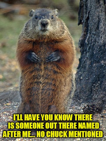 I'LL HAVE YOU KNOW THERE IS SOMEONE OUT THERE NAMED AFTER ME... NO CHUCK MENTIONED | made w/ Imgflip meme maker