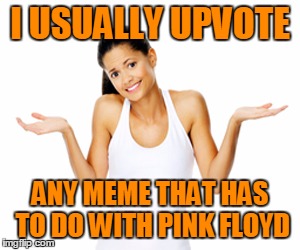 I USUALLY UPVOTE ANY MEME THAT HAS TO DO WITH PINK FLOYD | made w/ Imgflip meme maker