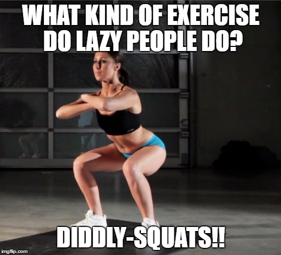 diddly squats | WHAT KIND OF EXERCISE DO LAZY PEOPLE DO? DIDDLY-SQUATS!! | image tagged in lazy,exercise,squats,funny | made w/ Imgflip meme maker