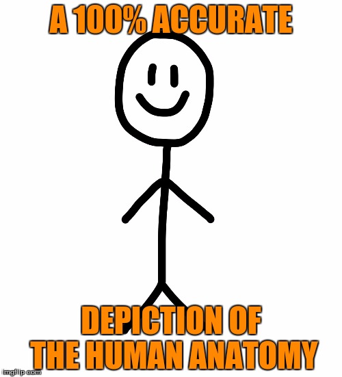 It's true. :D | A 100% ACCURATE; DEPICTION OF THE HUMAN ANATOMY | image tagged in stick figure,memes,women,feminazi,crush the commies,communism | made w/ Imgflip meme maker