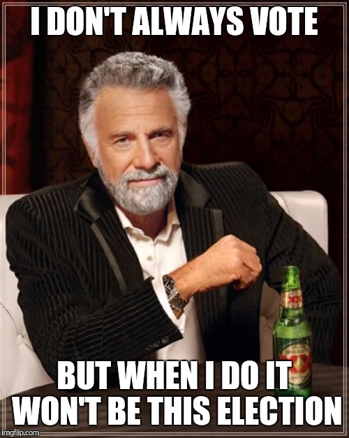The Most Interesting Man In The World Meme | I DON'T ALWAYS VOTE; BUT WHEN I DO IT WON'T BE THIS ELECTION | image tagged in memes,the most interesting man in the world | made w/ Imgflip meme maker