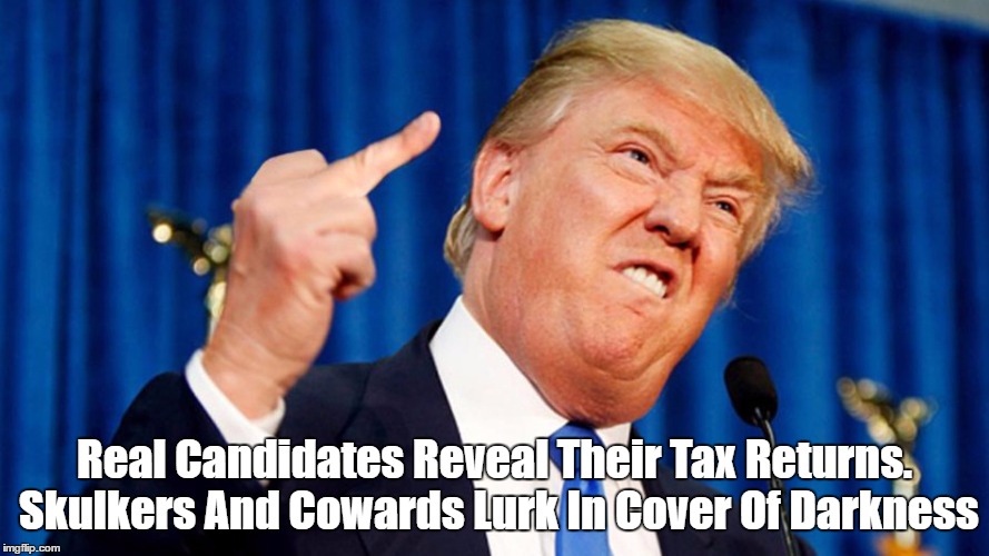 Real Candidates Reveal Their Tax Returns. Skulkers And Cowards Lurk In Cover Of Darkness | made w/ Imgflip meme maker